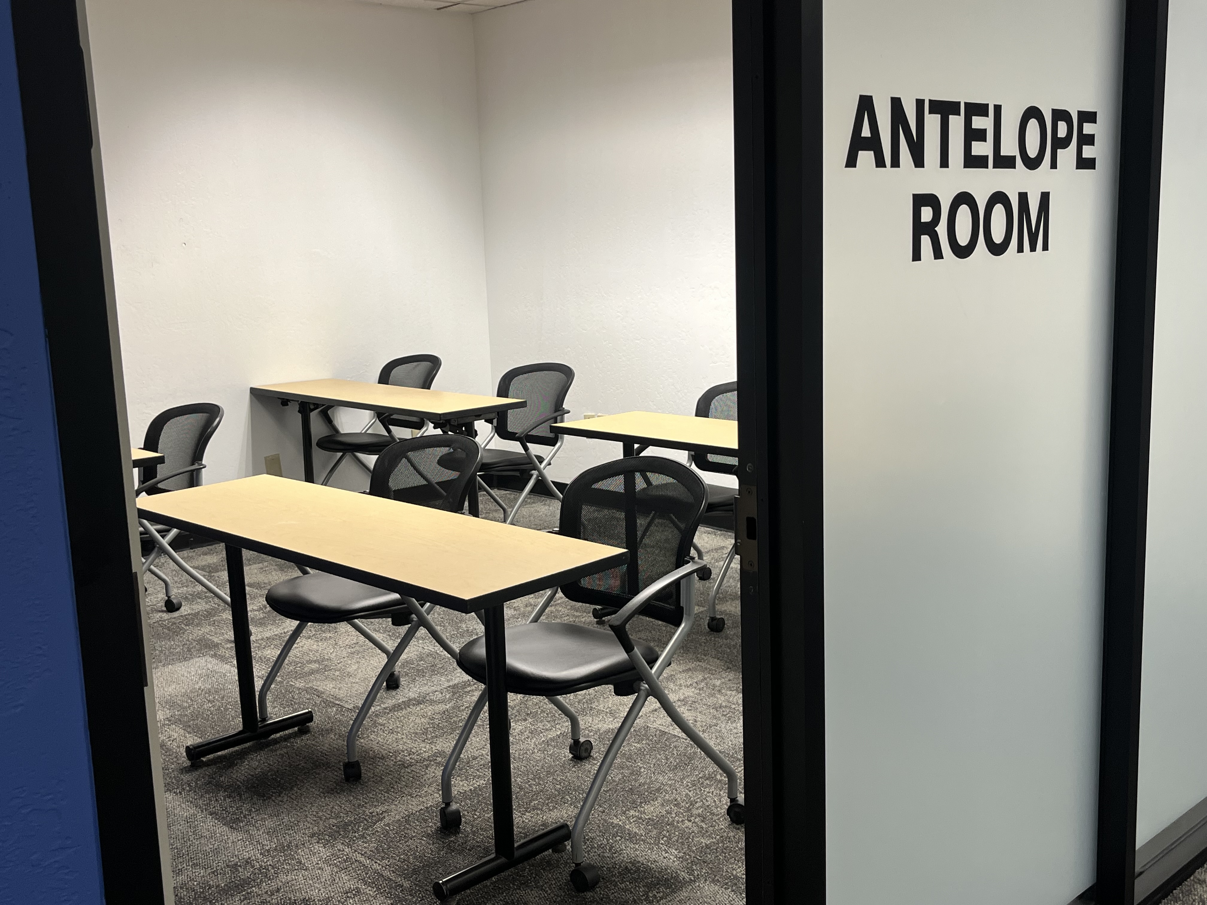 Antelope Room therapy space